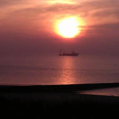 Hotel Strandvilla Janine - Bild 17