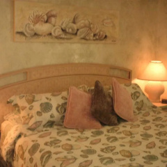 Apollo Beach Resort thumbnail 5