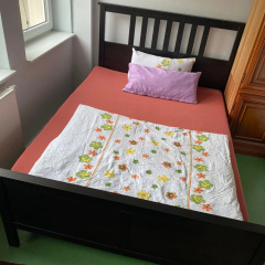 Wiesbaden Apartment - Bild 3