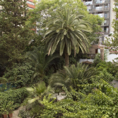 Ciudad Condal - Bild 15