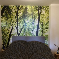 Apartment am Kurpark - Bild 2