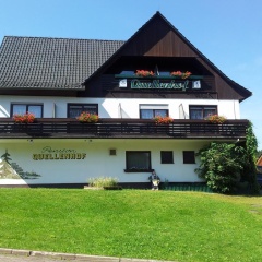 Pension Quellenhof - Bild 16