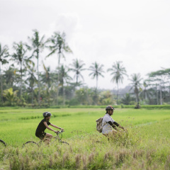 Alila Ubud. Bali - Bild 20