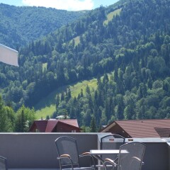 Hotel Carpat Inn in Azuga, Romania from 208$, photos, reviews - zenhotels.com photo 11
