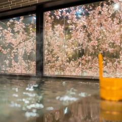 Super Hotel Lohas Ikebukuro-Eki Kitaguchi thumbnail 21
