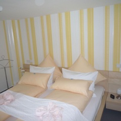 Modern-im-Erdgeschoss - Bild 1