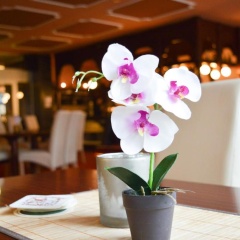 Carea Residenz Hotel Harzhöhe - Bild 12