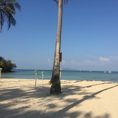 Phi Phi Little Star Resort - Bild 12