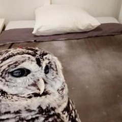 Amsterdam Centre Rooms - Bild 2