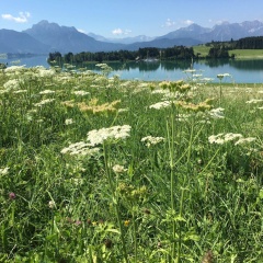 Old Kings Design Hostel - Bild 15