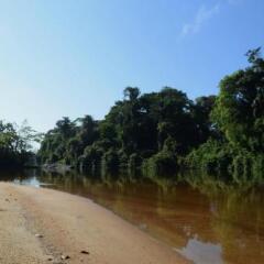 Danpaati River Lodge in Paramaribo, Suriname from 119$, photos, reviews - zenhotels.com photo 17