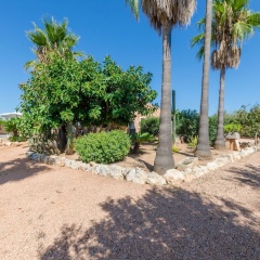Sa Marina (Marina Des Torrent) - Bild 15