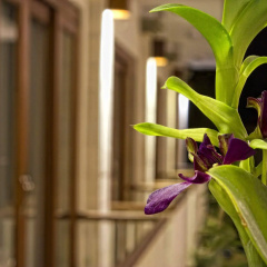 Sura Inn Ubud thumbnail 5