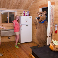 Yogi Bear's Jellystone Park Camp-Resort Wisconsin Dells thumbnail 17