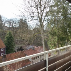 Cosy Apartment in Sankt Andreasberg Near Ski Area - Bild 8