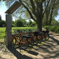 Ferienhaus Zur Mainpforte - Bild 3