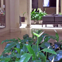Hotel Posada del Lucero - Bild 19