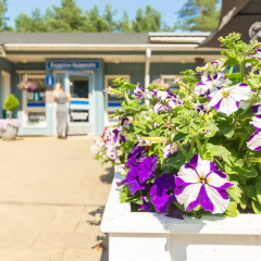 Yyteri Resort & Camping thumbnail 24
