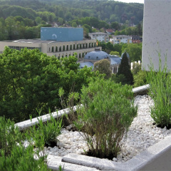 Appartement Panoramablick - Bild 9
