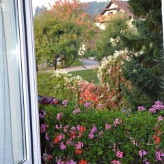 Gasthaus Auerhahn - Bild 15