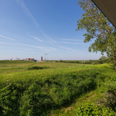 Deichnest - Bild 13