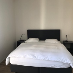 Swiss Star Wiedikon - Bild 2