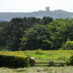 Wrea Head Country Cottages thumbnail 2
