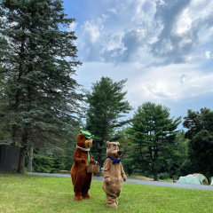 Yogi Bear's Jellystone Park Camp-Resort Wisconsin Dells thumbnail 45