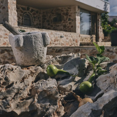 Villa Roxa thumbnail 9