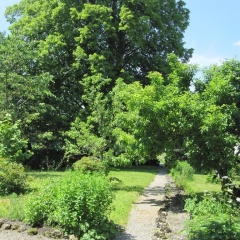 Romantic Pension Albrecht - Bild 11