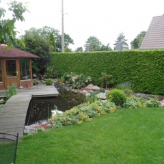 Logis Am Park - Bild 16
