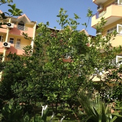Hotel Marin - All Inclusive - Bild 1