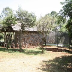 Ol Losowan House, Karen in Nairobi, Kenya from 99$, photos, reviews - zenhotels.com photo 23