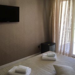 Отель Родина Абхазия, Новый Афон - отзывы, цены и фото номеров - забронировать отель Родина онлайн удобства в номере фото 2