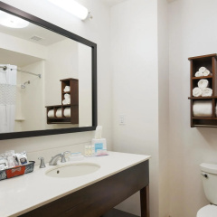 Hampton Inn & Suites Dallas/Frisco North-FieldhouseUSA thumbnail 8