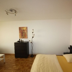Swiss Star District 11 - Bild 5