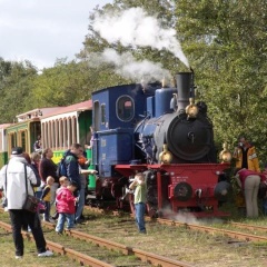 Moewennestchen - Bild 16