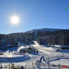 Astoria Lux - K16 Milmari in Kopaonik, Serbia from 115$, photos, reviews - zenhotels.com photo 30
