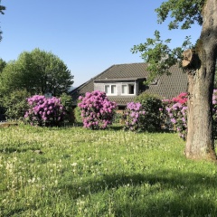 Hotel Heimliche Liebe - Bild 9