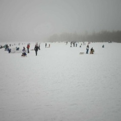Kuschelnest - Bild 7