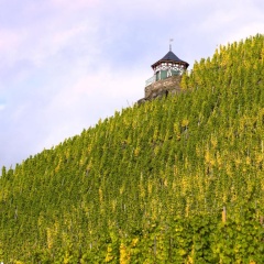 DEINHARD's - Bild 16