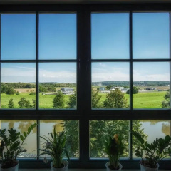 Gastwirtschaft & Hotel Hallescher Anger - Bild 7