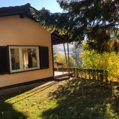 Schöne Aussicht - Bild 9