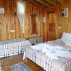 Olive Garden Kabak - Bild 1