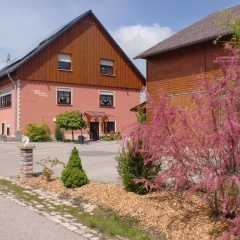 Landhaus Dreibirken - Bild 9