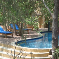Alam Gili - Bild 12