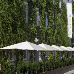 Harmonie Vienna - Bild 1