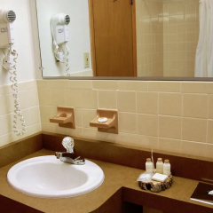 T-Bird Motor Inn thumbnail 7
