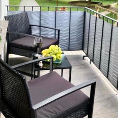 RS Apartment Baden-Baden - Bild 12