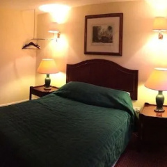 The Red Lion thumbnail 6